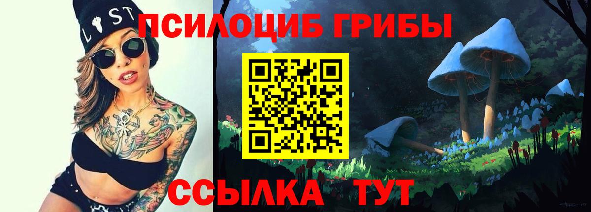 Псилоцибиновые грибы Cubensis Луга